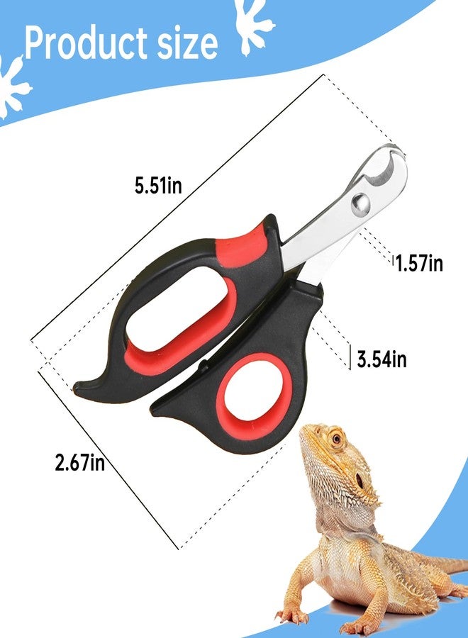 KEUYE Bearded Dragon Nail Clippers,Stainless Steel Bearded Dragon Toe Nail Clippers with Precise Angled Edges (Reddish Black) - Image 2